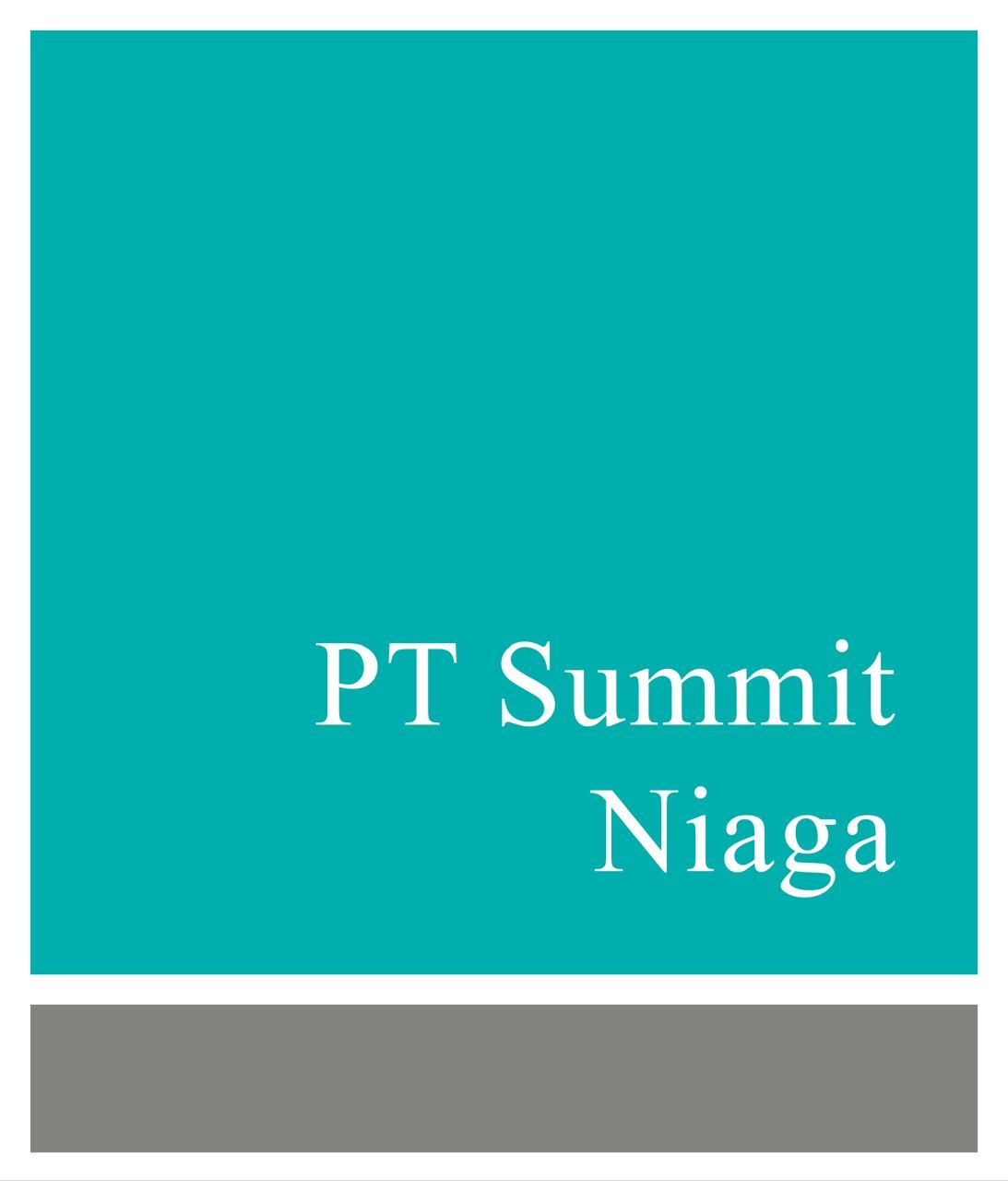 PT Summit Niaga