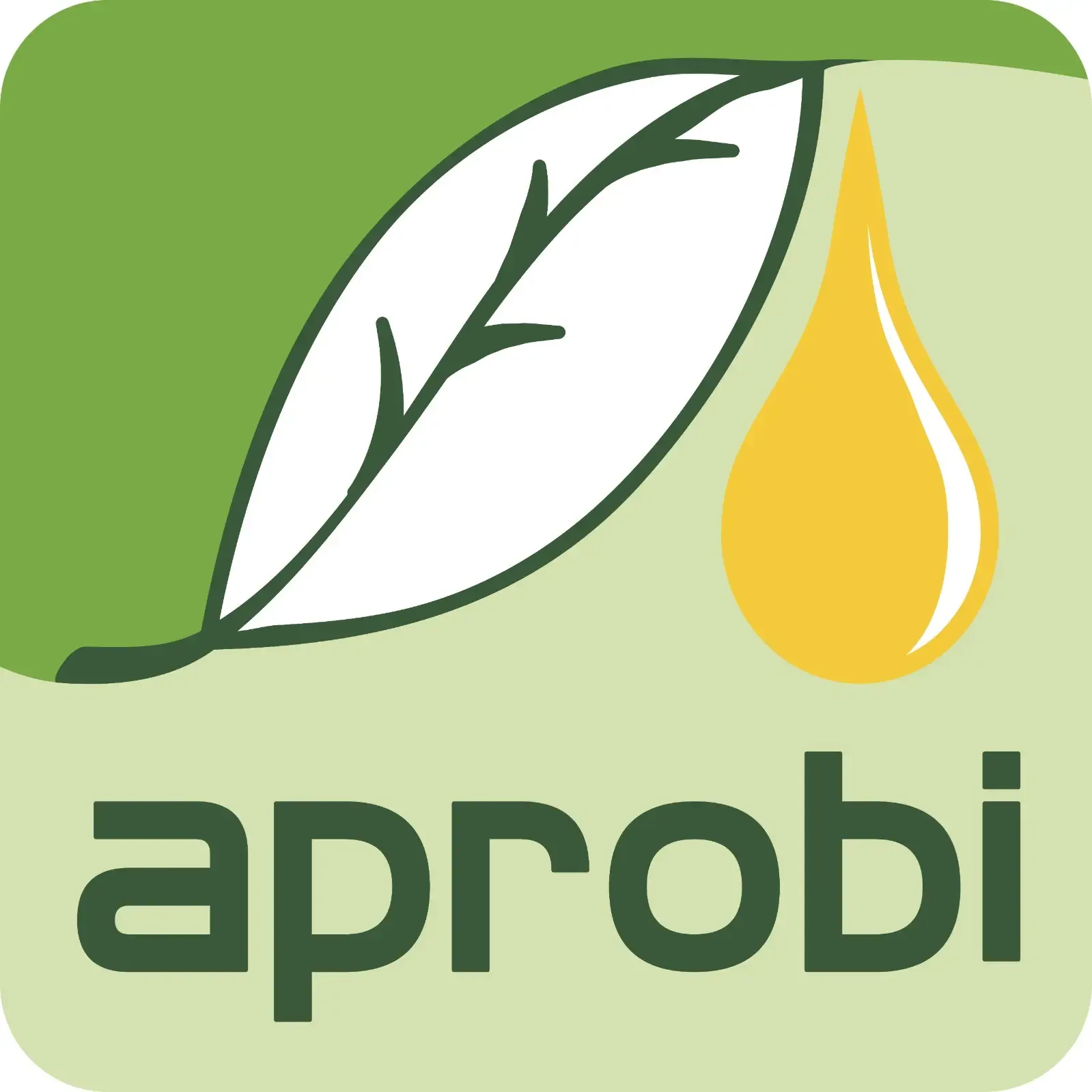 Asosiasi Produsen Biofuel Indonesia